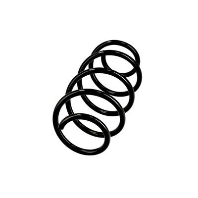ARC SPIRAL EIBACH R10521 2
