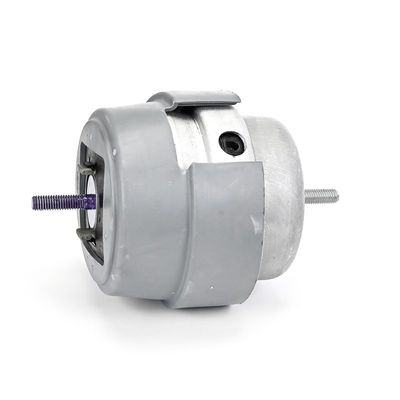 LAGERUNG MOTOR DELPHI TEM234 13