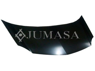 Капот двигателя JUMASA 05034029 для RENAULT KANGOO