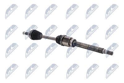 PLANETARA NTY NPWFR080 28