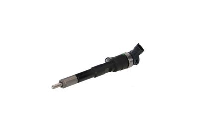 INJECTOR REMANTE 002003001494R 8