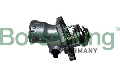 Termostat, środek chłodzący BORSEHUNG B10556