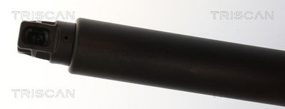 AMORTIZOR PORTBAGAJ TRISCAN 871024308 3