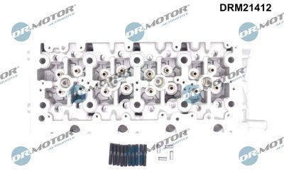 CHIULASA Dr.Motor Automotive DRM21412 1