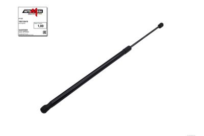 Dujinė spyruoklė, bagažinė