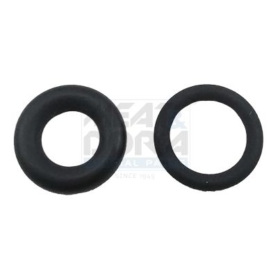 SET INELE ETANSARE INJECTOR