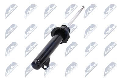 AMORTIZOR NTY AAR011 19