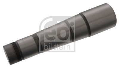 FEBI BILSTEIN Achsschenkelbolzen