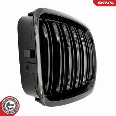 GRILA RADIATOR ESEN SKV 66SKV066 5