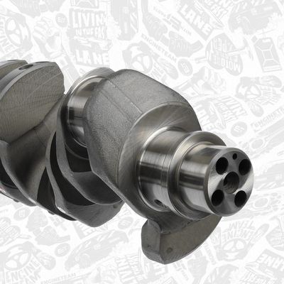 ARBORE COTIT ET ENGINETEAM HK0220 4