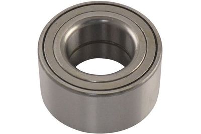 Kavo Parts Rato guolis