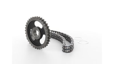 STEUERKETTENSATZ SKF VKML81008 15