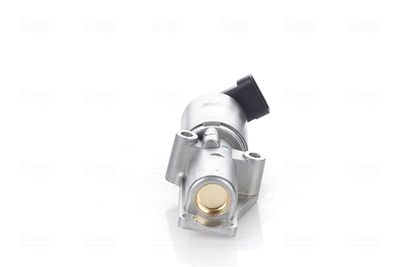 EGR Valve 98170