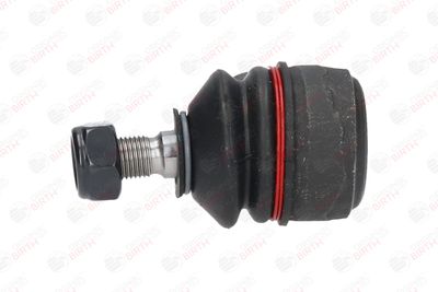 CAP DE BARA BIRTH RD2012 4