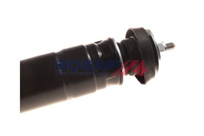 AMORTIZOR BOGAP C3411111 4