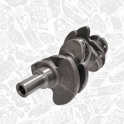 ARBORE COTIT ET ENGINETEAM HK0223 4