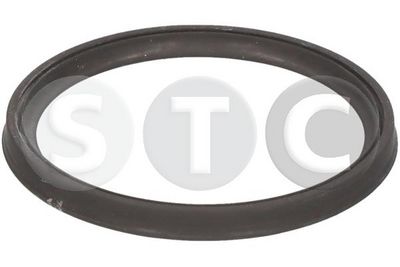 Těsnicí kroužek, hadice plnicího vzduchu STC T479631
