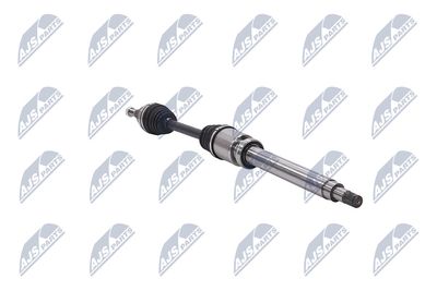 PLANETARA NTY NPWFR046 30