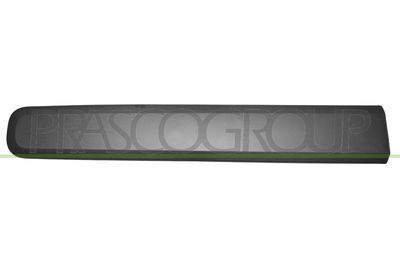 ELEMENTE DECORATIVE/PROTECTIE PORTIERA PRASCO FT1241414