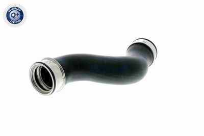 FURTUN EAR SUPRAALIMENTARE VAICO V103208 4