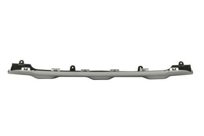 Bumper valance