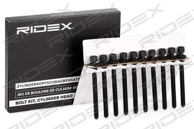 RIDEX Cilinderkopbout set (1217B0025)