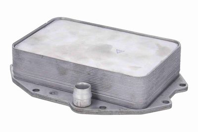 RADIATOR ULEI ULEI MOTOR VEMO V15606083 4