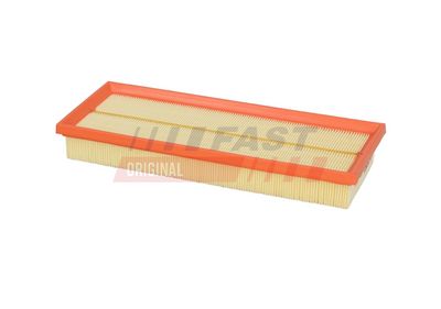 FAST Oro filtras