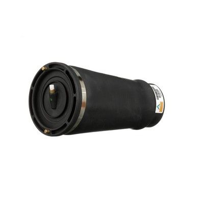 LUFTFEDER FAHRWERK Arnott A2202 25