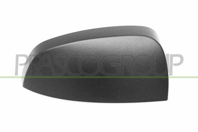 ACOPERIRE OGLINDA EXTERIOARA