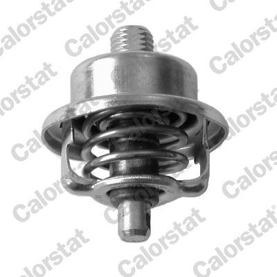 CALORSTAT by Vernet Thermostat, Kühlmittel