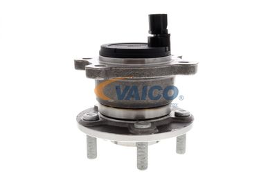 RADNABE VAICO V251447 31