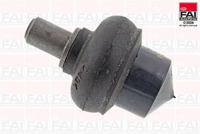 Шарнири FAI AutoParts SS5021