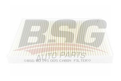 BSG BSG 90-145-005 Фільтр салону 