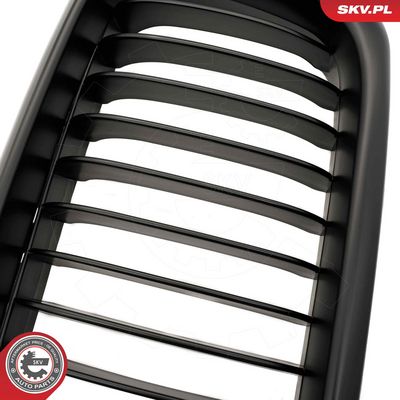 GRILA RADIATOR ESEN SKV 66SKV213 6