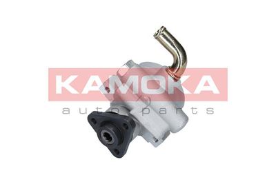 Hydraulic Pump, steering PP001