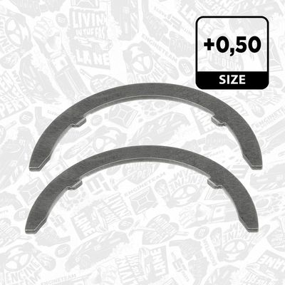 SAIBA DISTANTIER ARBORE COTIT