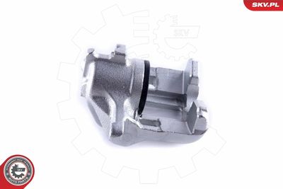 Brake Caliper 46SKV462