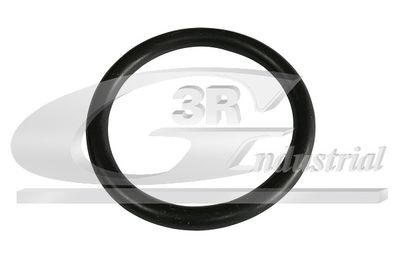 Прокладка, термостат 3RG 80081 для RENAULT MASTER