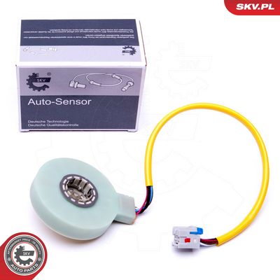 Vairavimo kampo jutiklis