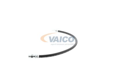 FURTUN FRANA VAICO V309926 25