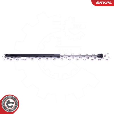 Dujinė spyruoklė, bagažinė