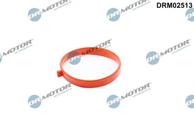 Uszczelka, króciec przepustnicy DR.MOTOR AUTOMOTIVE DRM02513