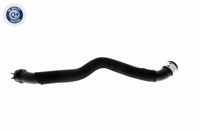 FURTUN RADIATOR VAICO V302972 5