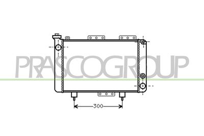 KüHLER MOTORKüHLUNG PRASCO RN001R001