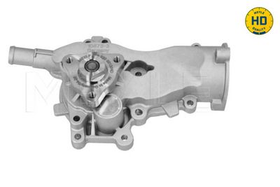 POMPă DE APă RăCIRE MOTOR MEYLE 6132200013HD 1