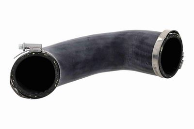 FURTUN EAR SUPRAALIMENTARE