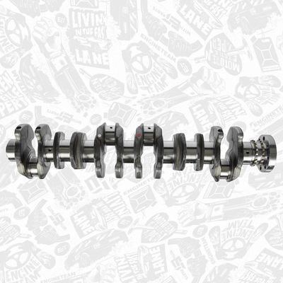 ARBORE COTIT ET ENGINETEAM HK0212 3