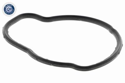DICHTUNG THERMOSTAT