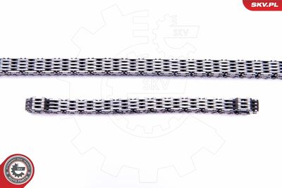 Timing Chain Kit 21SKV248